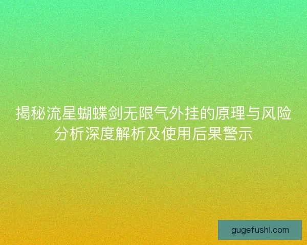 揭秘流星蝴蝶剑无限气外挂的原理与风险分析深度解析及使用后果警示